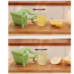 Presse-agrumes manuel 